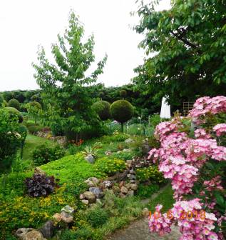 Vorschaubild Steingarten der Familie Schneider mit Rosen, Heuchera und farbenprächtigen Blumen und Bäumen