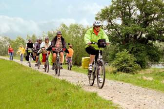 Vorschaubild Gruppe aus sechs Radfahrern fährt auf dem Elbdeich entlang des Elberadweges auf dem Radweg zwischen einer sattgrünen Wiese