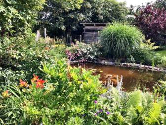 Vorschaubild zum Tag der Offenen Gärten öffnet der Garten von Marie-Luise Böttcher mit einem kleinen Teich und Feuchtbiotop, die das Zuhause für Wasserpflanzen und blütentragende Stauden bilden