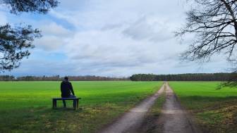Vorschaubild Ausblick in die Weite, Sitzmöglichkeit, Grüne Wiese und blauer Himmel, Weg durch das Feld