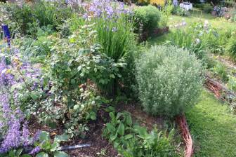 Vorschaubild Zum Tag der Offenen Gärten öffnet der Garten der Familie Gwozdz mit von Weiden umzogenen Beeten mit vielfältiger Bepflanzung