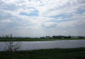 Vorschaubild Elbe neben satter Wiese mit Löwenzahn im Sommer unter strahlend blauem Himmel mit feinen Wolken