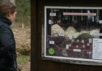 Vorschaubild Frau in Funktionskleidung mit braunen Haaren studiert eine Tafel inmitten des Gestütswaldes in Neustadt Dosse über den Ameisenlehrpfad
