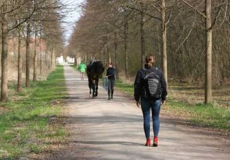 Vorschaubild Wanderin mit roten Schuhen und Rucksack läuft entlang des Gestütswaldweges in Neustadt Dosse auf einem von Bäumen umsäumten Weg einer Frau entgegen, die ein Pferd mit Sattel am Halfter führt