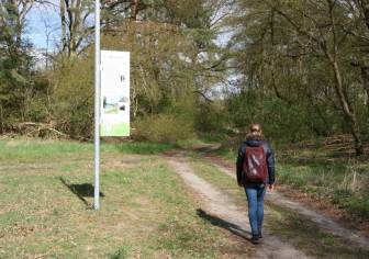 Vorschaubild Wanerin mit rotem Rucksack passiert eine Informationstafel des Biosphärenreservates Flusslandschaft Elbe Brandenburg auf einer Wiese entlang des Zweiseitenweges am Rambower Moor