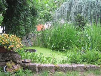 Vorschaubild Zum Tag der Offenen Gärten öffnet der Garten der Familie Milbrandt mit einem kleinen Teich in einer Steinpackung mit Bepflanzung und Dekorationselementen