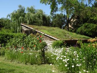 Vorschaubild verwunschenes Gartenhäuschen mit schiefem mossbewachsenem Dach mitten zwischen Mohn, Astern und hohen Gräsern am Rande einer Weide und Nadelgehözen