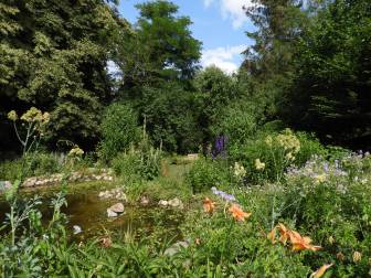 Vorschaubild Zum Tag der Offenen Gärten öffnet der Garten von Thomas Schröder mit einem Teich mit Steinfassung, Stauden und einer bunten Blumenvielfalt