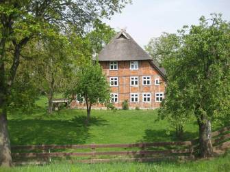 Vorschaubild Niedersachsenhaus (Fachwerkhaus mit Reetdach) im Sommer mit blühenden Obstbäumen und sattgrünem Rasen unter strahlend blauem Himmel