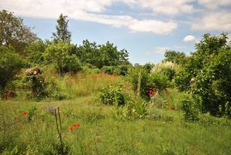 Vorschaubild Zum Tag der Offenen Gärten öffnet der Heil-Kunst-Garten in Zempow mit einer Blühwiese und Dekoelementen